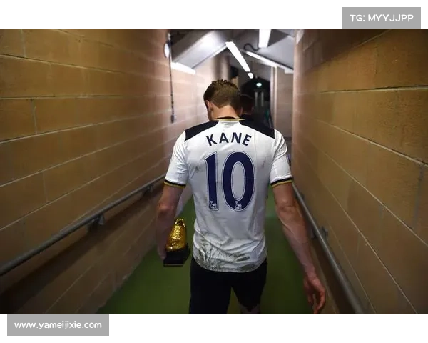 凯恩国家队征程中的决定时刻 凯恩国家队征程中的决定时刻