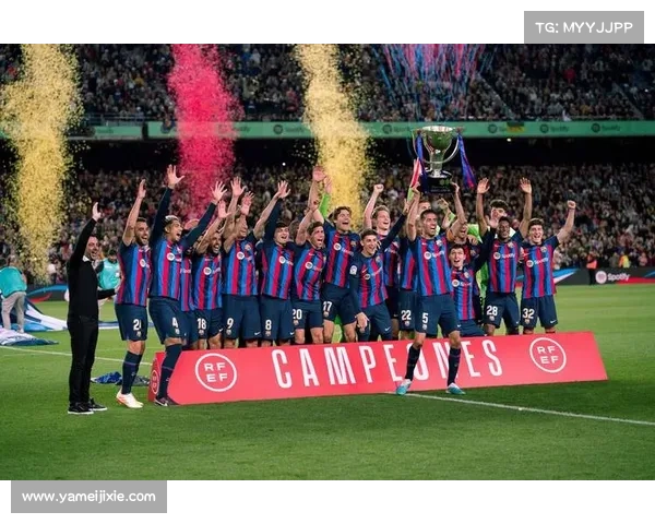 五大联赛各具特色解析：英超西甲德甲意甲法甲风格差异与魅力探索